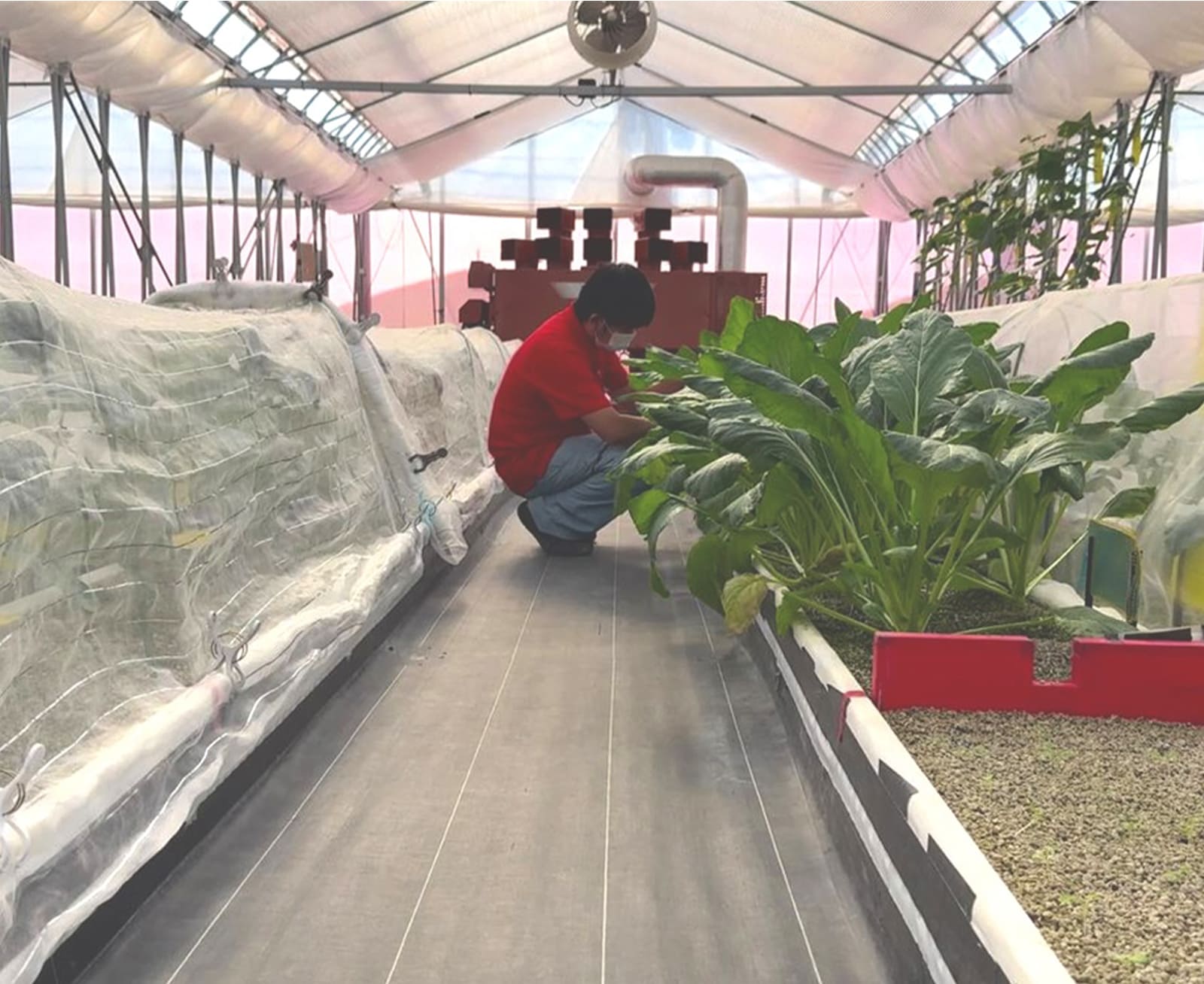 社会貢献活動の画像