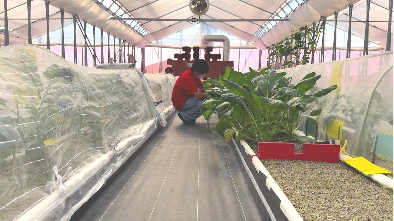 わーくはぴねす農園のイメージ画像