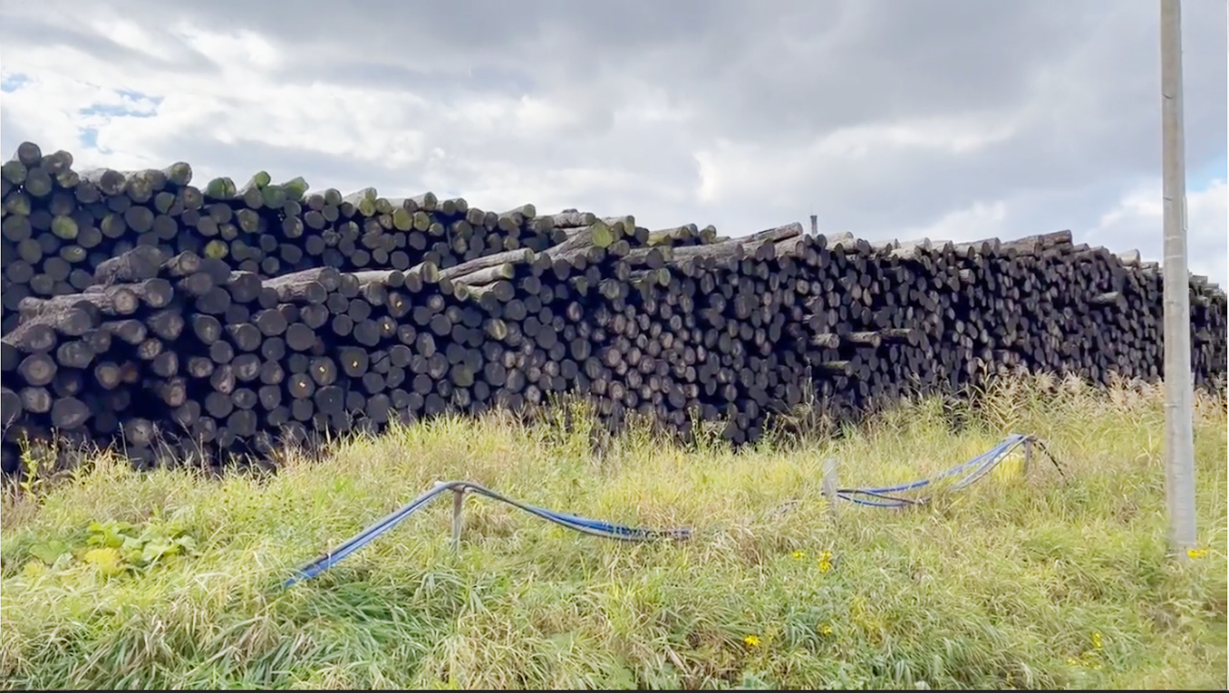 国産間伐材の集材、製材、販売のイメージ画像